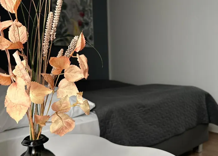 Boutique Hotel Viva Creativo